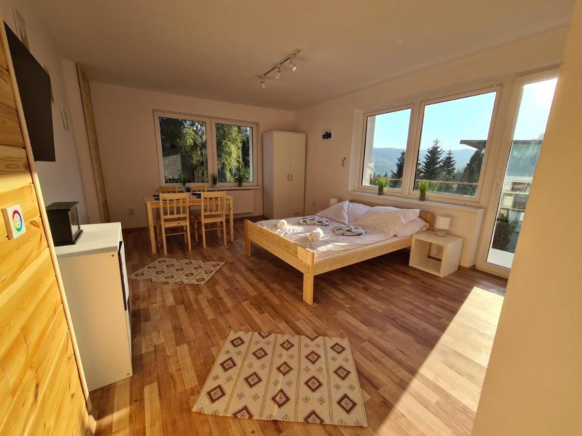 Apartamenty Willa Naskarpie Jacuzzi Sauna Basen Wisła Εξωτερικό φωτογραφία